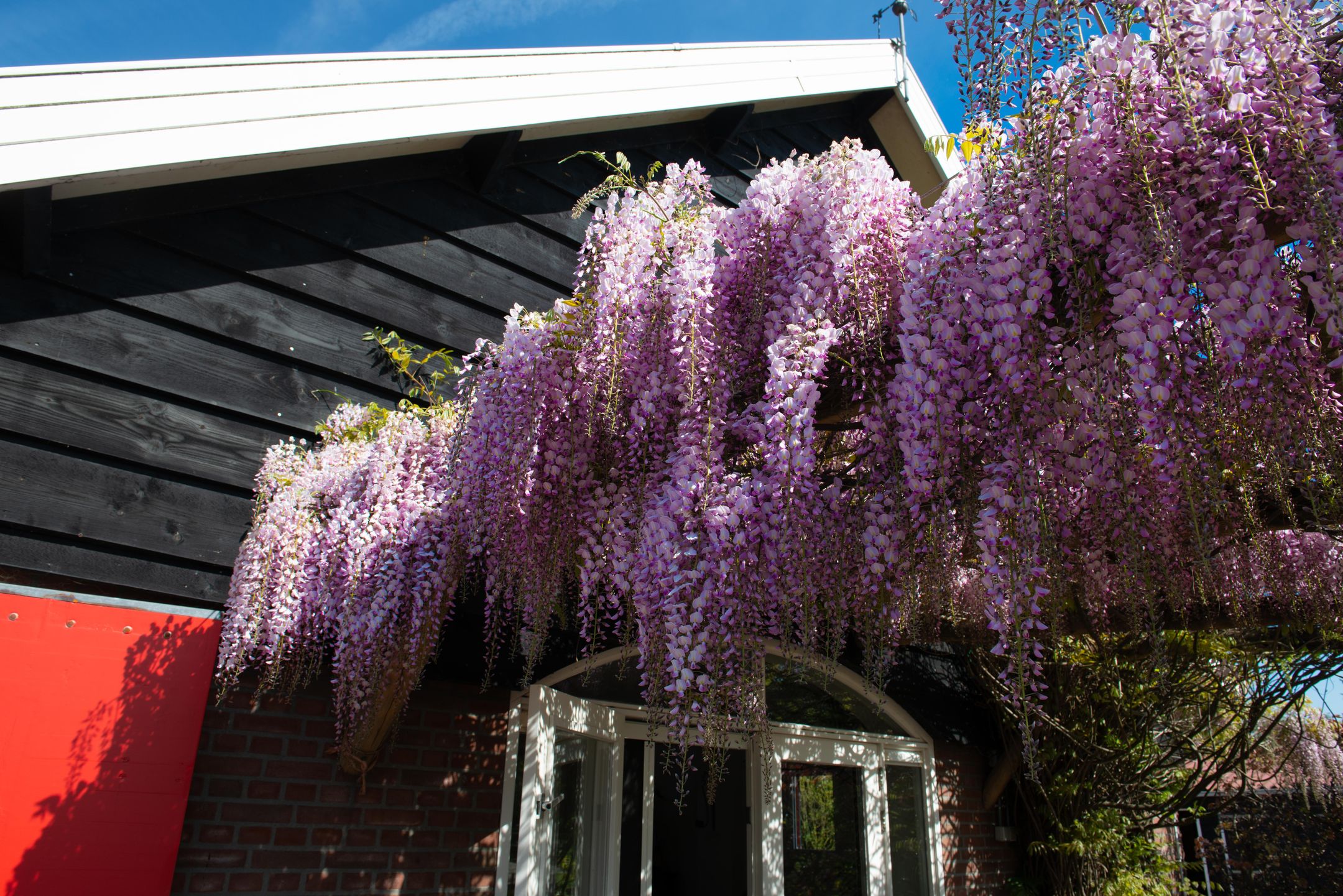 Foto 51 van Boomweg 11