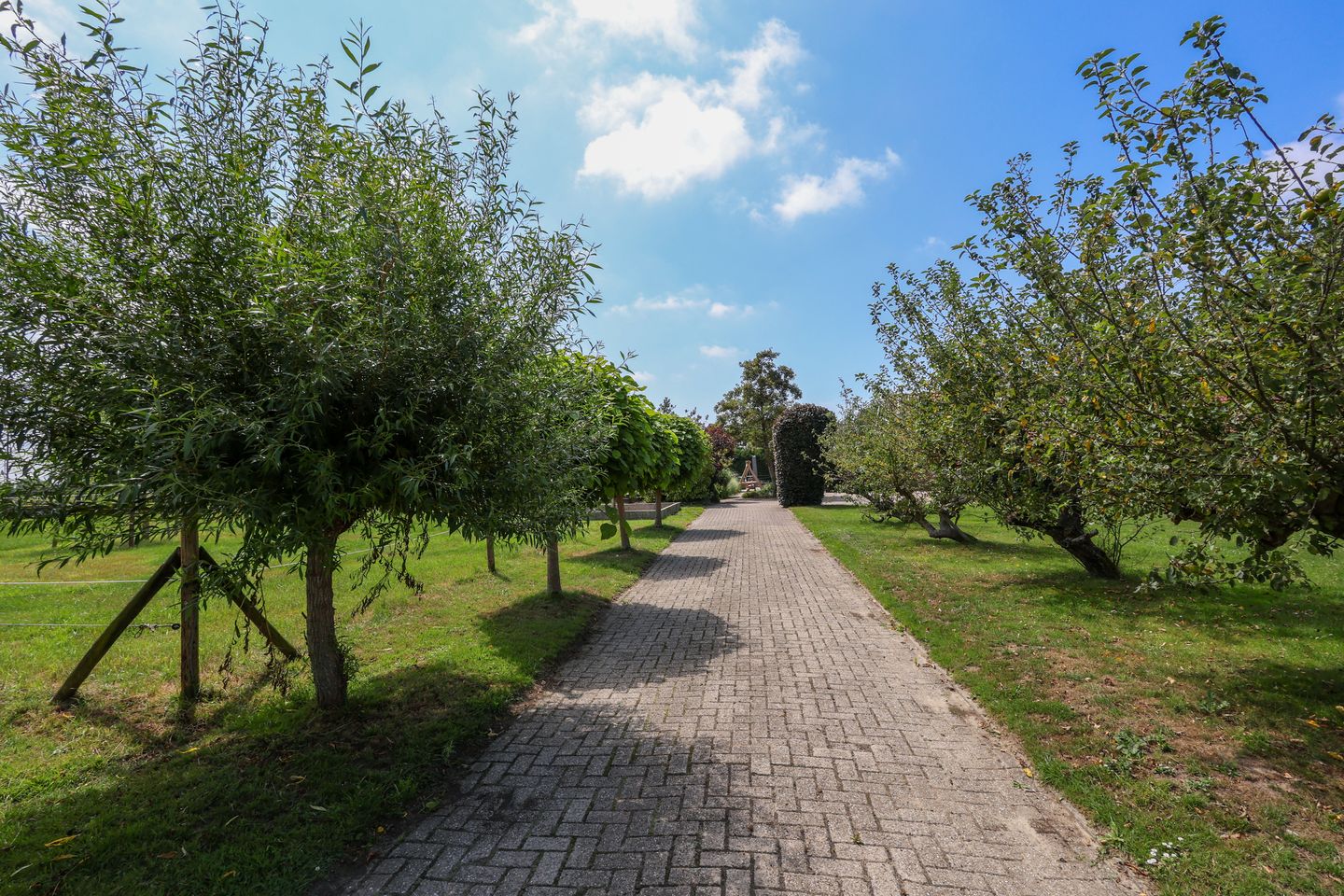 Foto 64 van Boomweg 11