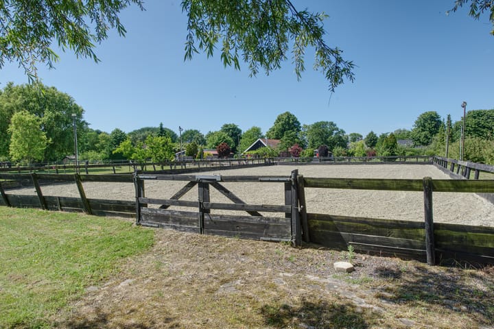 Foto 62 van Boomweg 11