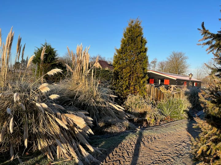 Foto 56 van Boomweg 11