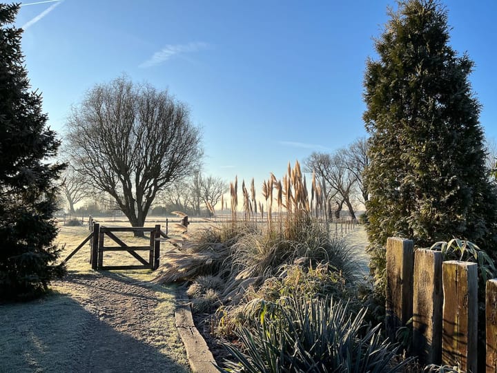 Foto 57 van Boomweg 11