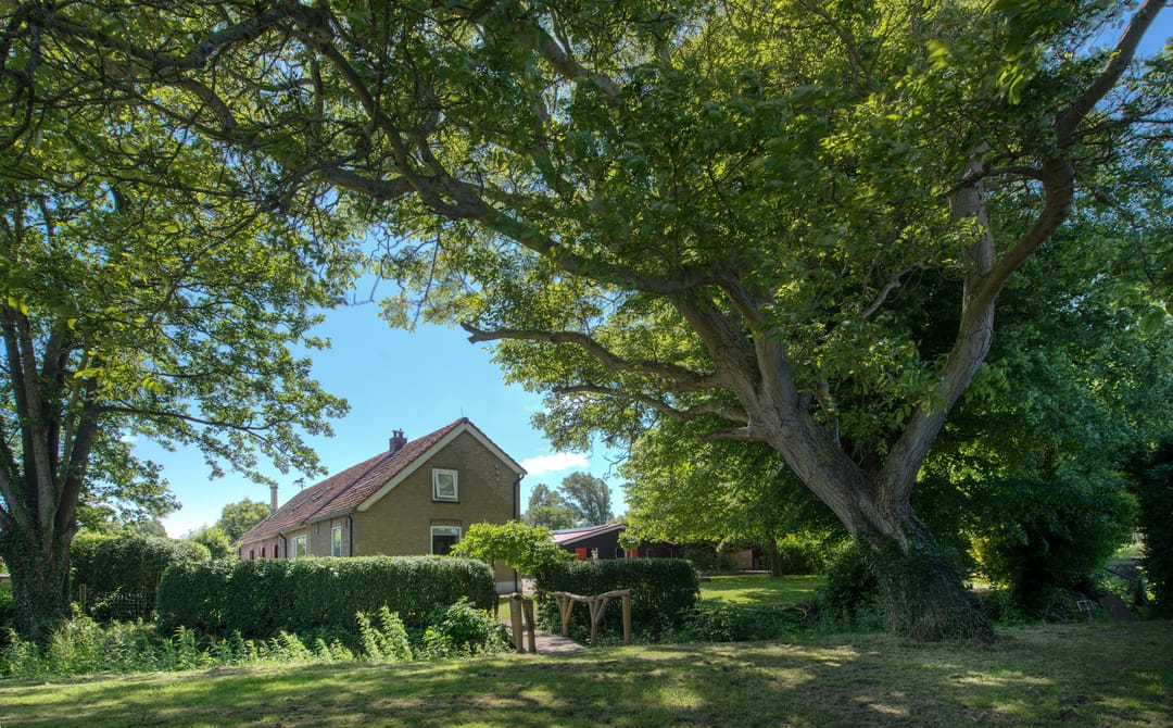 Foto 73 van Boomweg 11