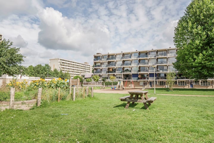 Foto 6 van Loplein 30