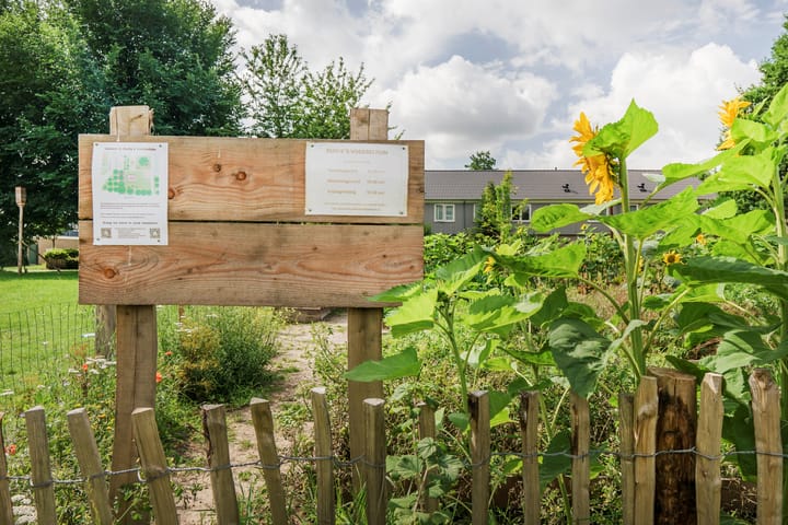 Foto 38 van Loplein 30