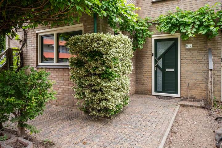 Foto 37 van Viltmakersdonk 107