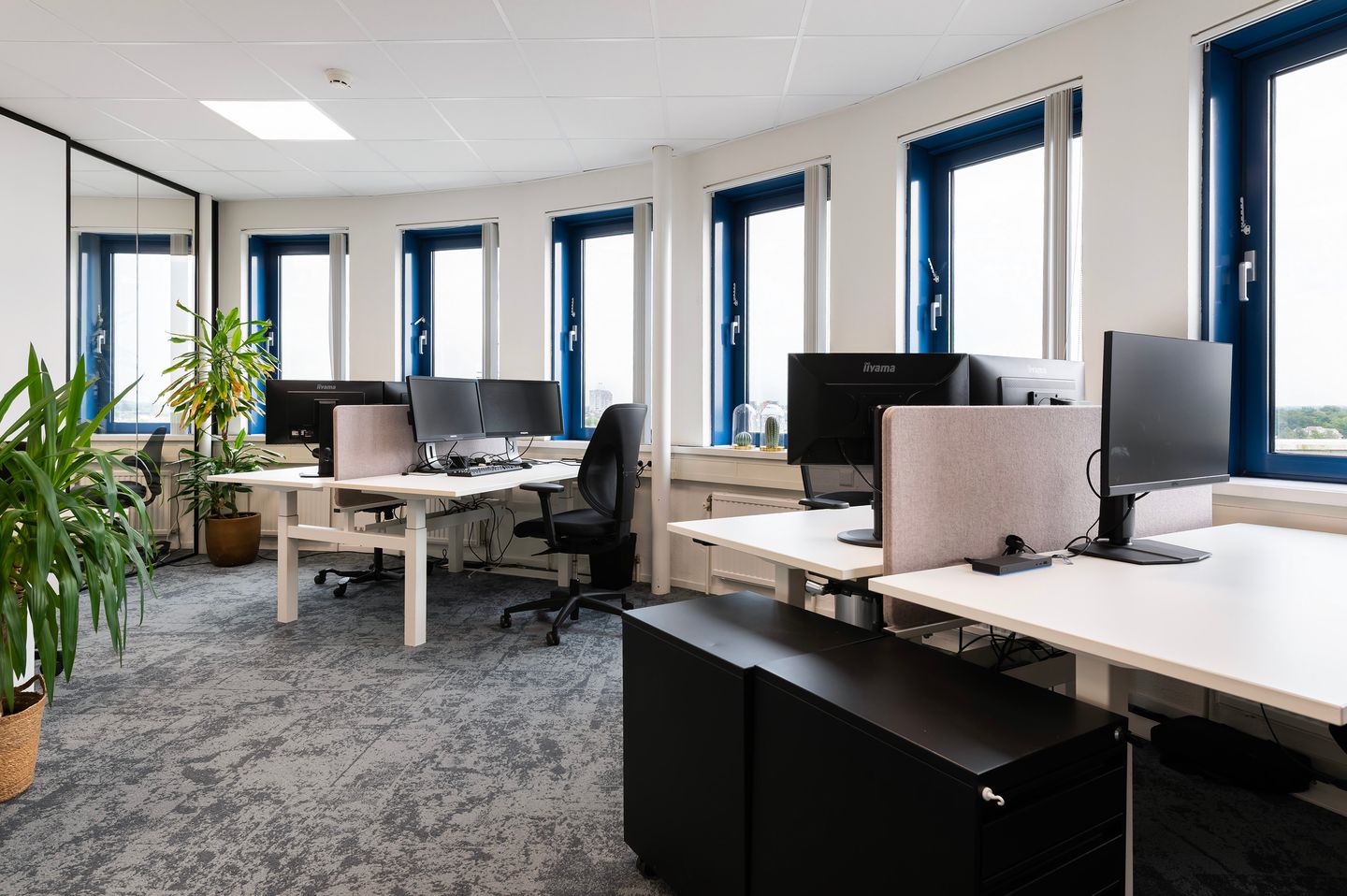 Bekijk foto 5 van Prins Willem-Alexanderlaan 723