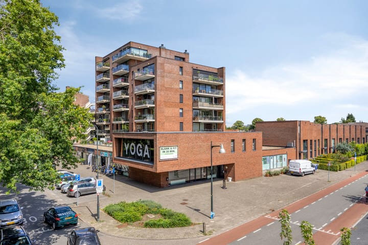 Foto 2 van Henri Dunantlaan 419