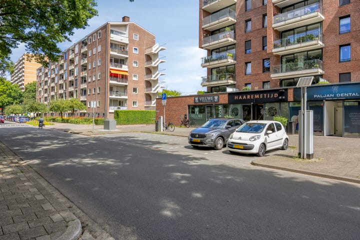 Foto 25 van Henri Dunantlaan 419