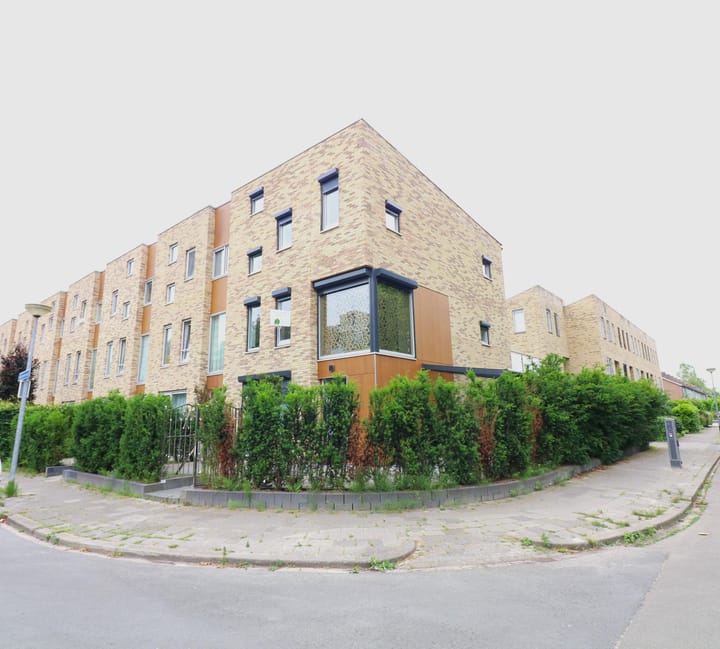 undefined main image