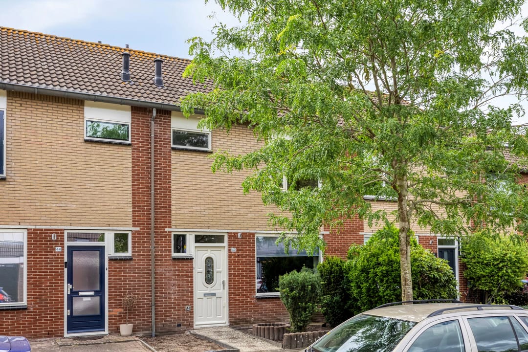 Foto 1 van Zanglijster 42