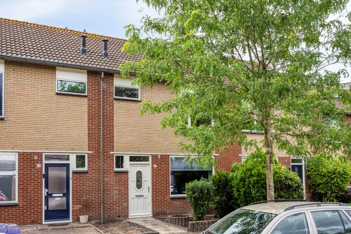 Photo 1 of Zanglijster 42