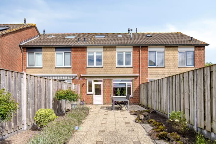 Foto 4 van Zanglijster 42