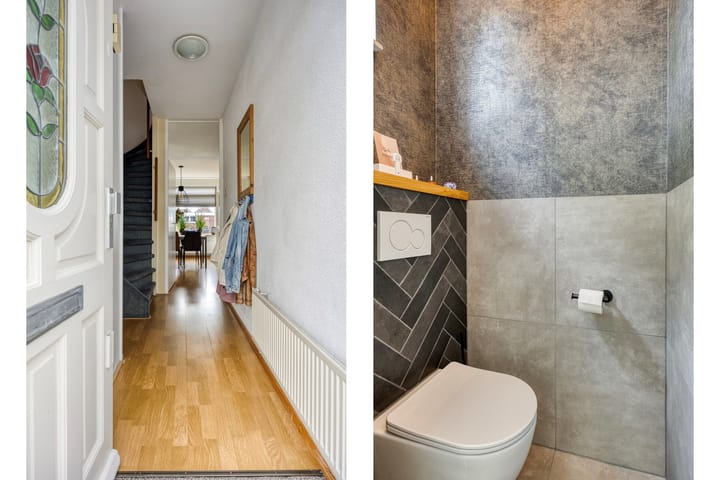 Photo 6 of Zanglijster 42