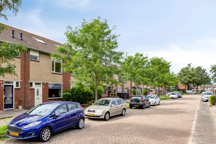 Photo 7 of Zanglijster 42