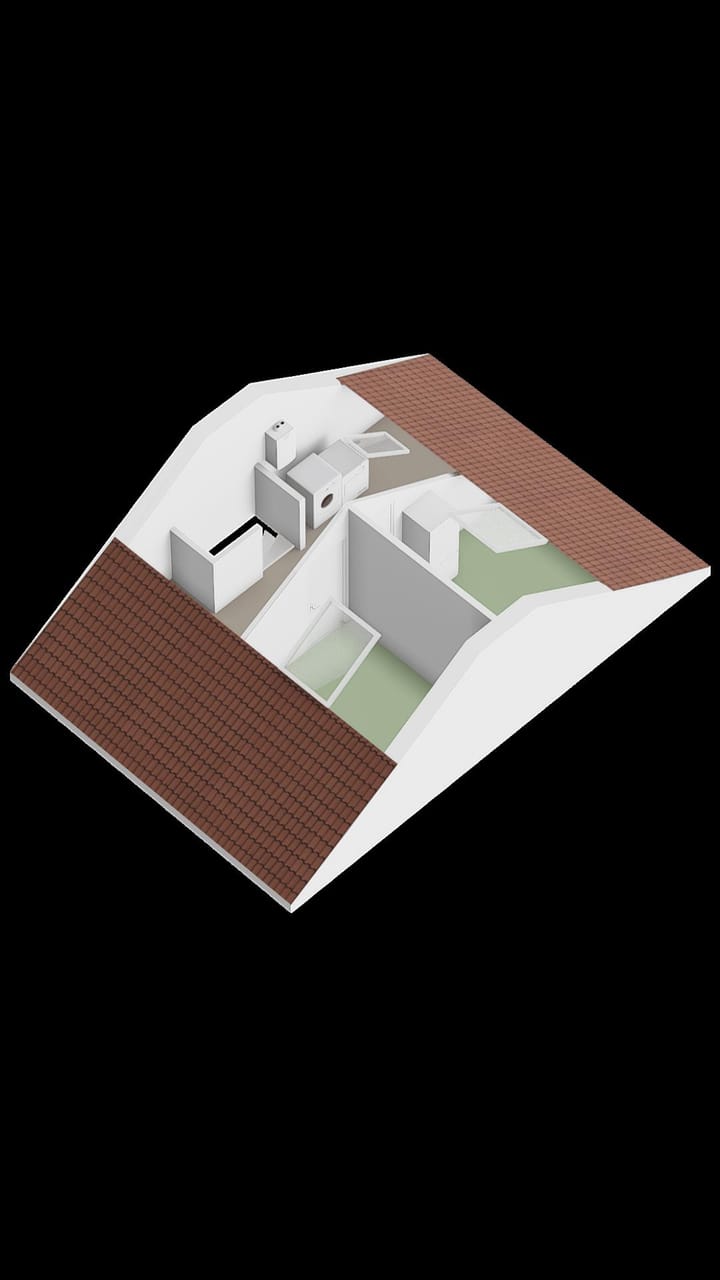 Photo 39 of Zanglijster 42