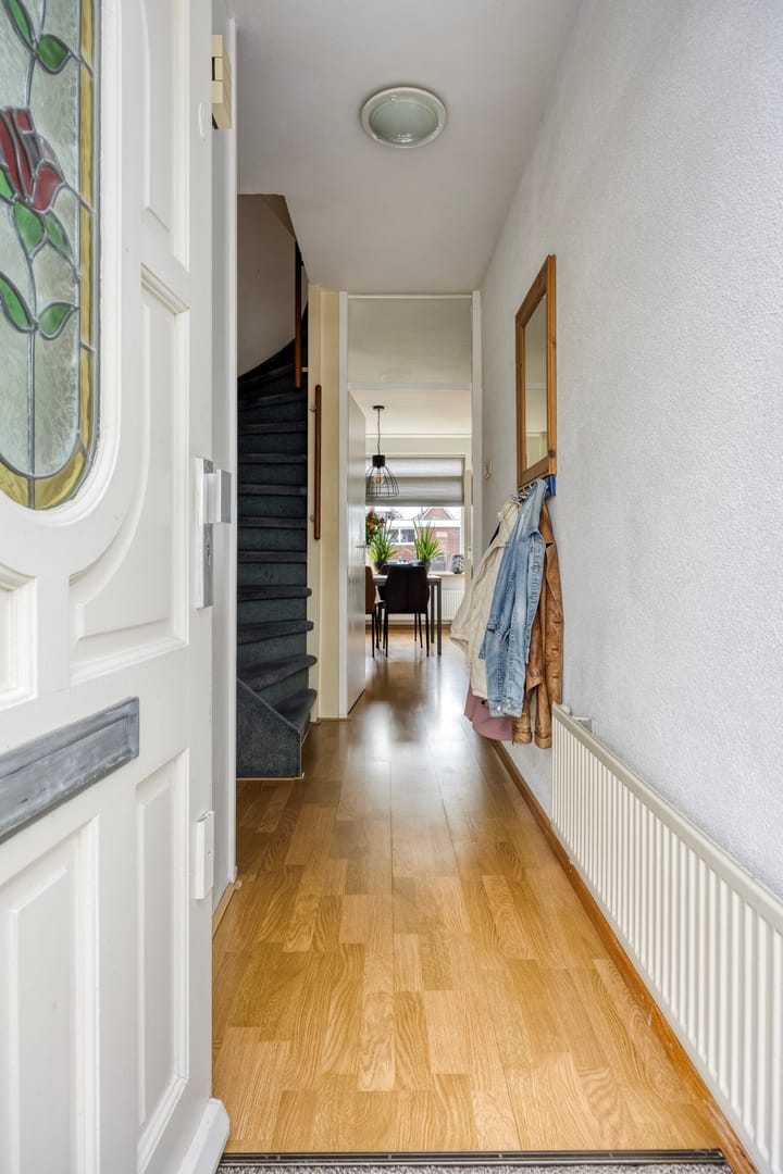 Photo 8 of Zanglijster 42