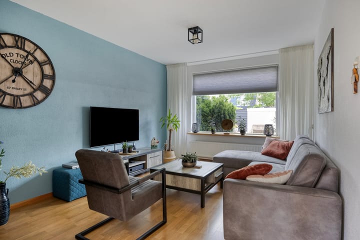 Photo 9 of Zanglijster 42