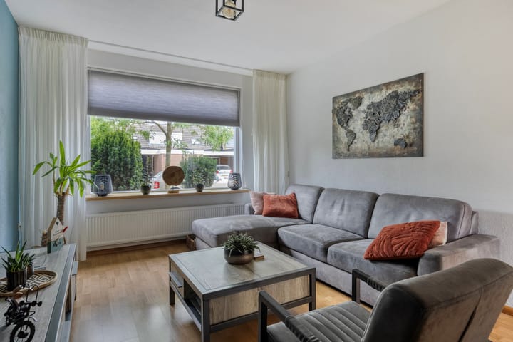 Photo 10 of Zanglijster 42