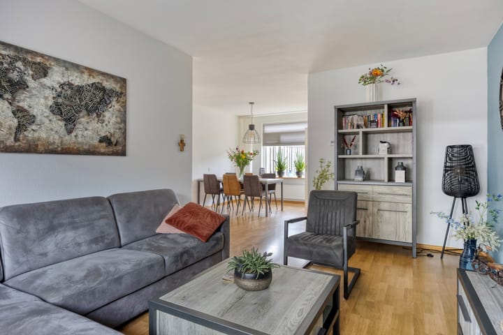 Photo 11 of Zanglijster 42