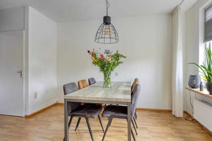 Photo 13 of Zanglijster 42