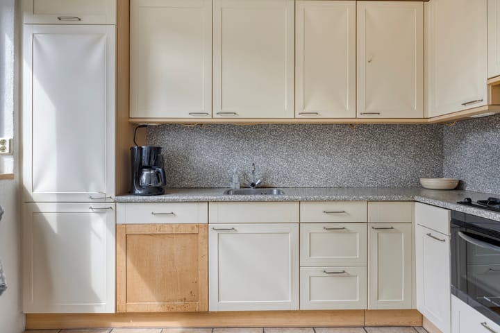 Photo 14 of Zanglijster 42