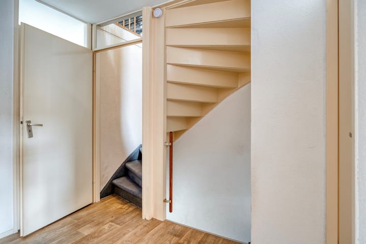 Photo 17 of Zanglijster 42