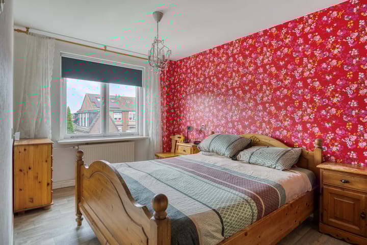 Photo 18 of Zanglijster 42