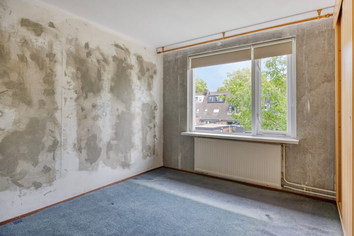 Photo 22 of Zanglijster 42