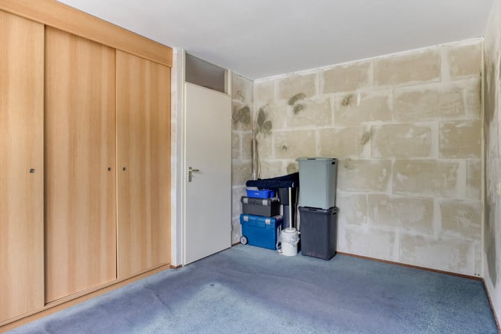 Photo 23 of Zanglijster 42