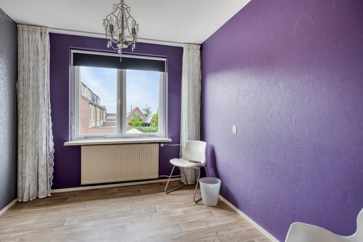 Photo 24 of Zanglijster 42