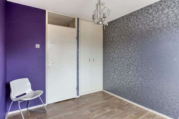 Photo 25 of Zanglijster 42