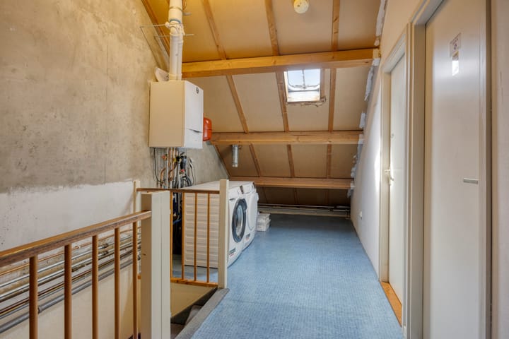 Photo 26 of Zanglijster 42