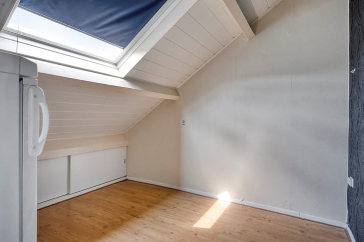 Photo 27 of Zanglijster 42