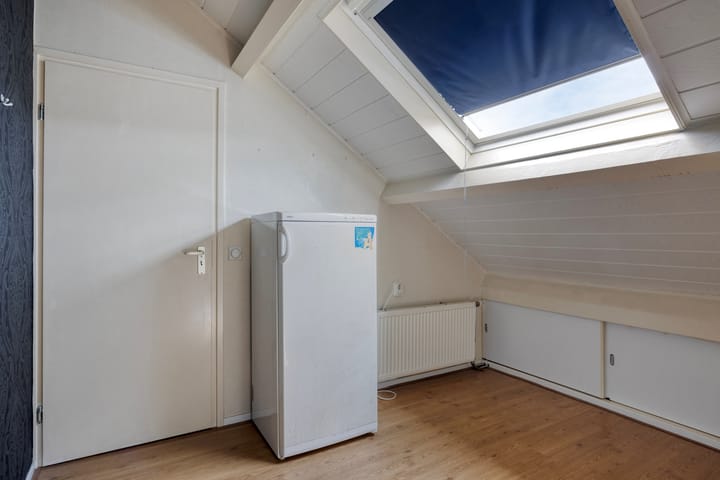 Photo 28 of Zanglijster 42