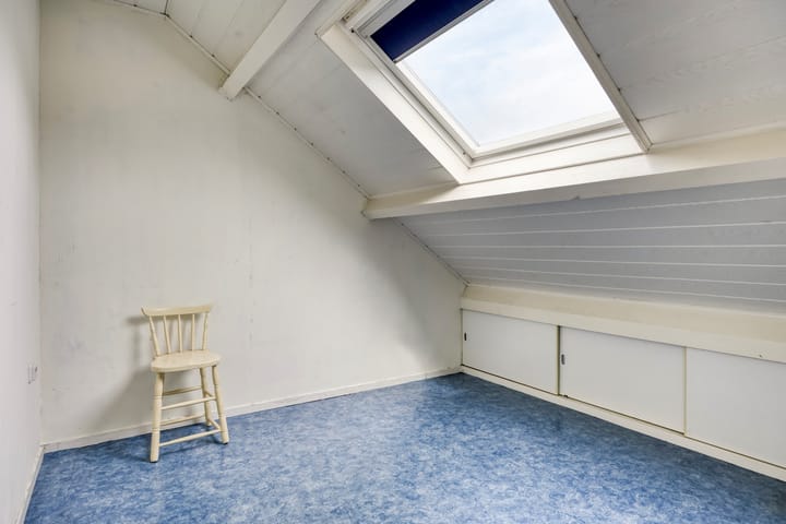 Photo 29 of Zanglijster 42