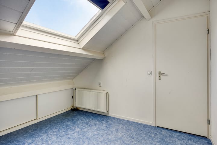 Photo 30 of Zanglijster 42