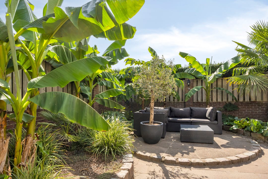 Foto 31 van Kuypershof 12