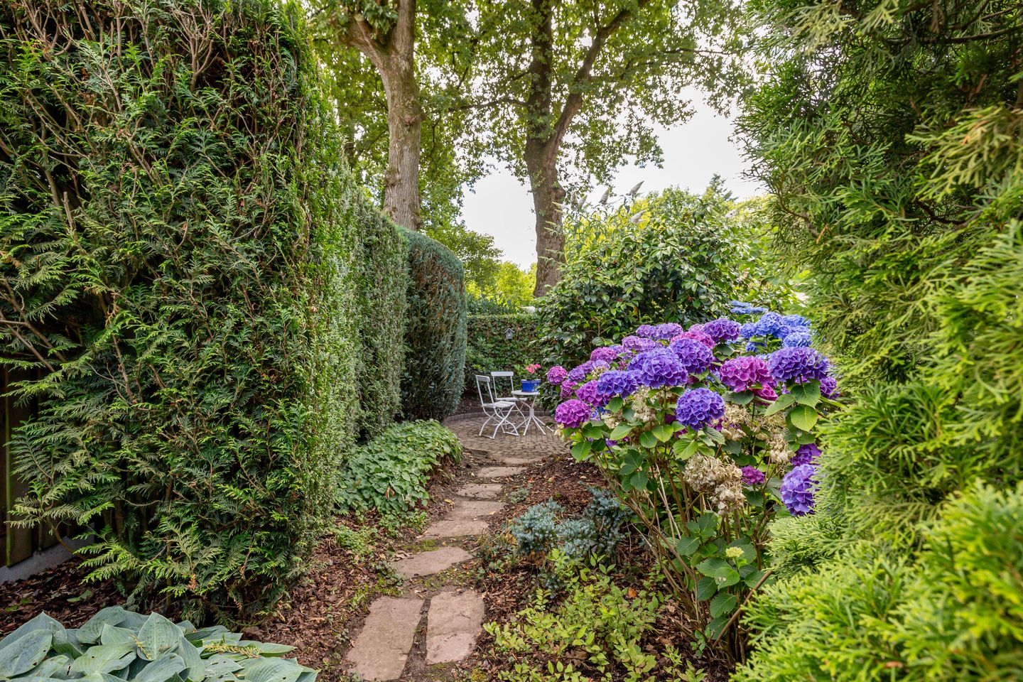 Foto 29 van De Santbrincke 65