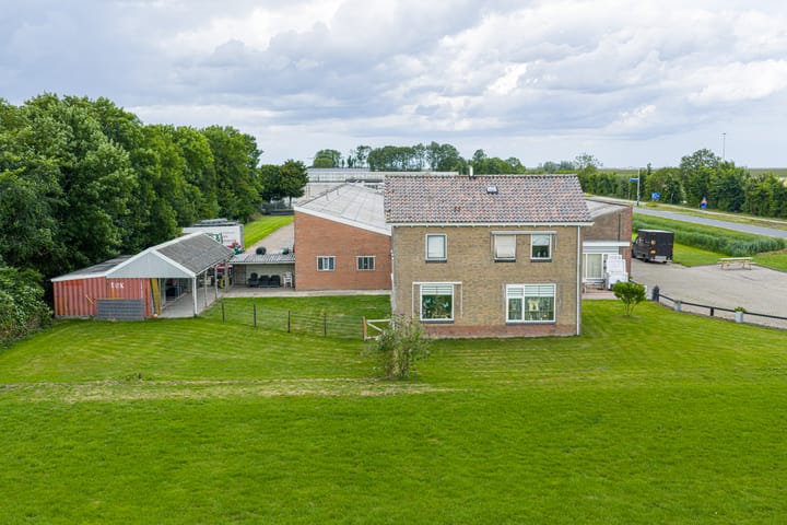 Photo 11 of Grândyk 1