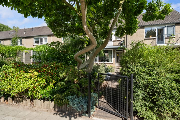 Foto 4 van Halleyweg 14