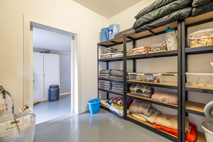 Photo 42 of Grândyk 1