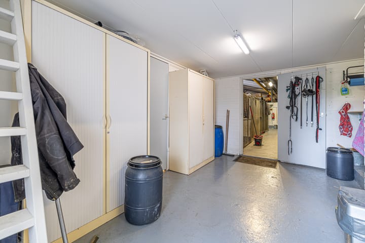 Photo 43 of Grândyk 1