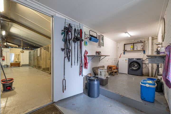 Photo 44 of Grândyk 1