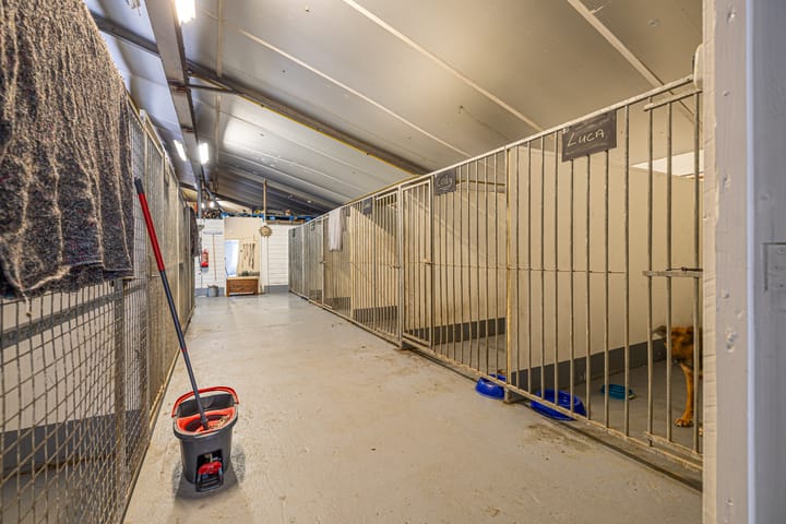 Photo 45 of Grândyk 1