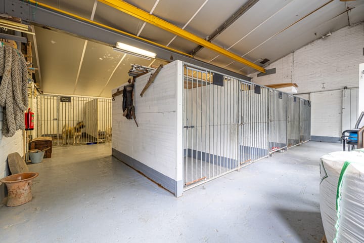 Photo 46 of Grândyk 1