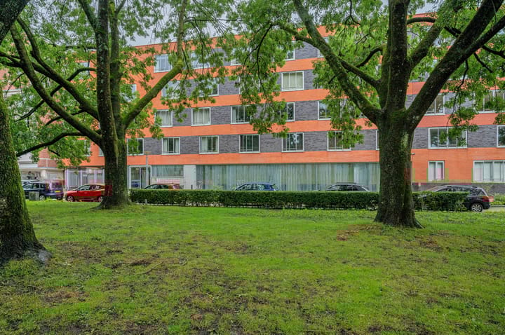 Foto 4 van Linnaeusplein 48