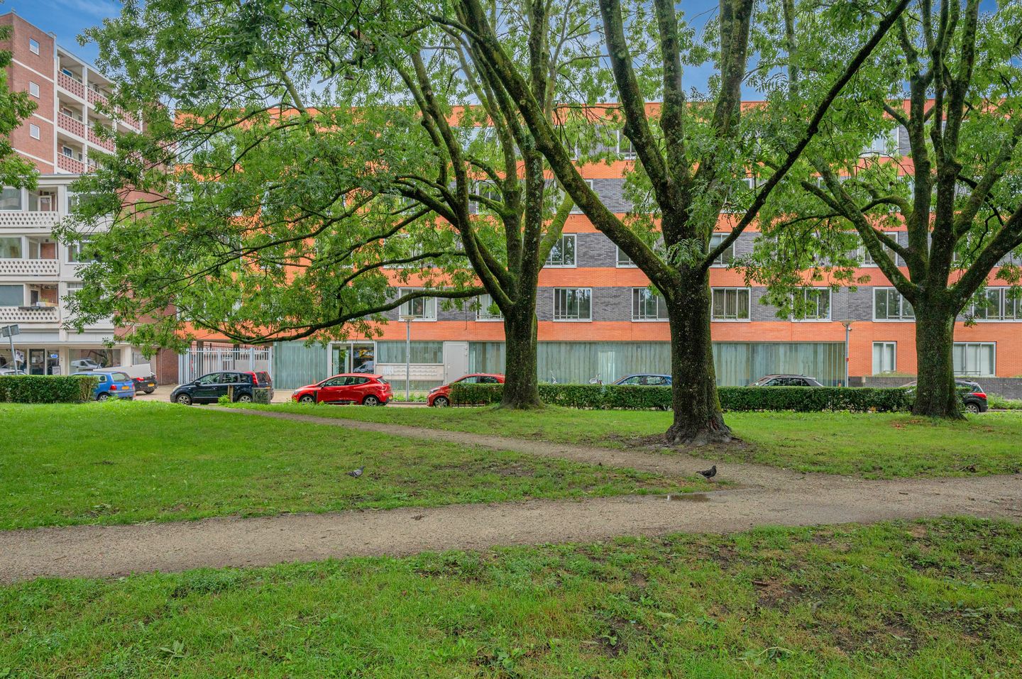 Foto 5 van Linnaeusplein 48