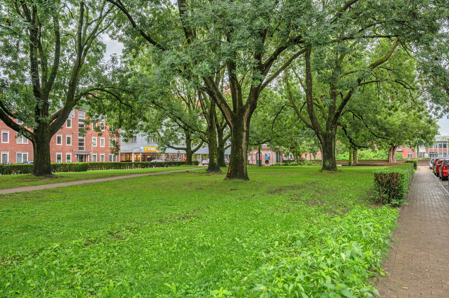 Foto 35 van Linnaeusplein 48