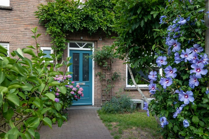 Foto 4 van Pieter van Osstraat 34