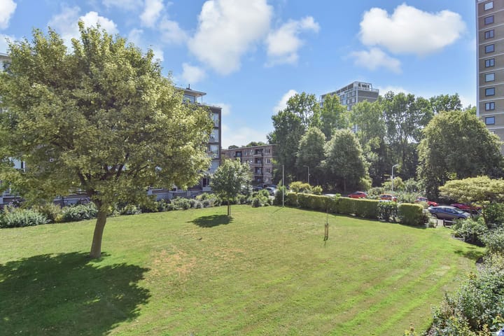 Foto 36 van Narcislaan 323